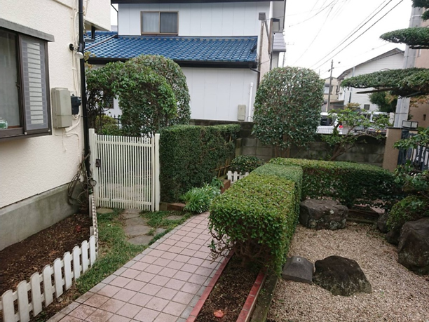 植木剪定作業